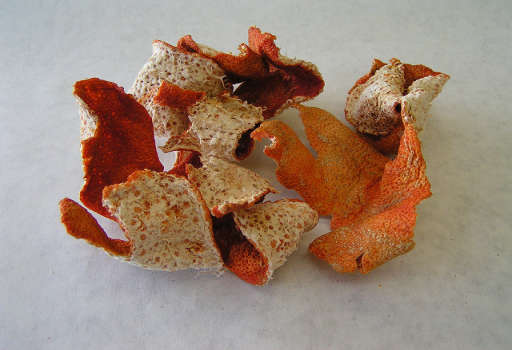 Tangerine Peel Dried